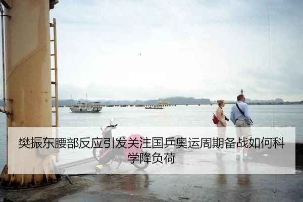 樊振东腰部反应引发关注国乒奥运周期备战如何科学降负荷