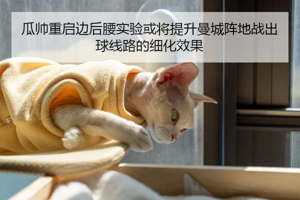 瓜帅重启边后腰实验或将提升曼城阵地战出球线路的细化效果
