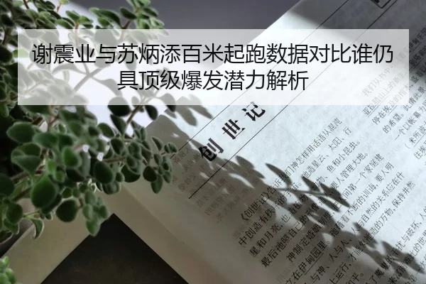 谢震业与苏炳添百米起跑数据对比谁仍具顶级爆发潜力解析
