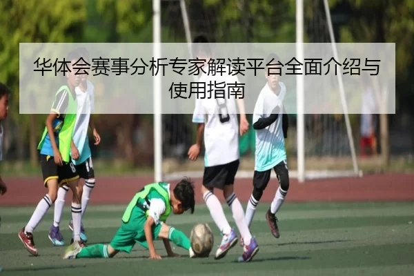 华体会赛事分析专家解读平台全面介绍与使用指南
