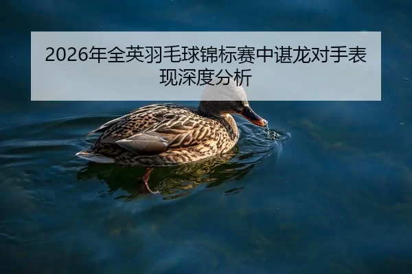nian-quan-ying-yu-mao-qiu-jin-biao-sai-zhong-chen-long-dui-shou-biao-xian-shen-du-fen-xi-2-692.jpg