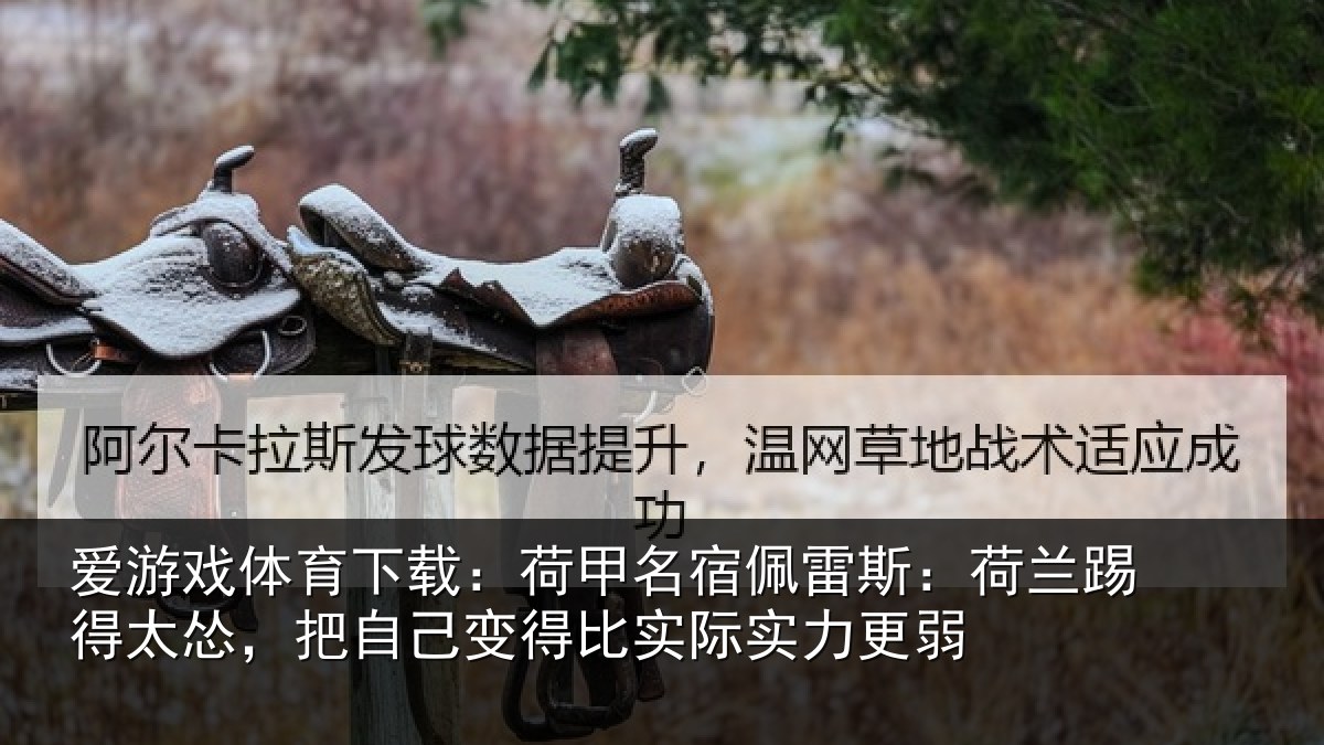 爱游戏体育下载:荷甲名宿佩雷斯:荷兰踢得太怂,把自己变得比实际实力更弱