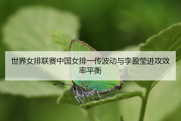 shi-jie-nv-pai-lian-sai-zhong-guo-nv-pai-yi-chuan-bo-dong-yu-li-ying-ying-jin-gong-xiao-lv-ping-heng-3-992.jpg