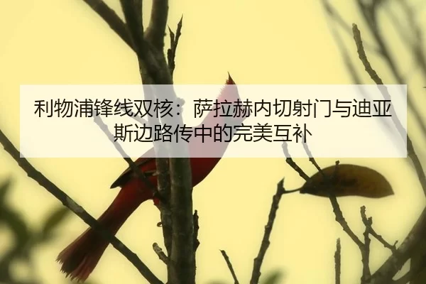 利物浦锋线双核：萨拉赫内切射门与迪亚斯边路传中的完美互补