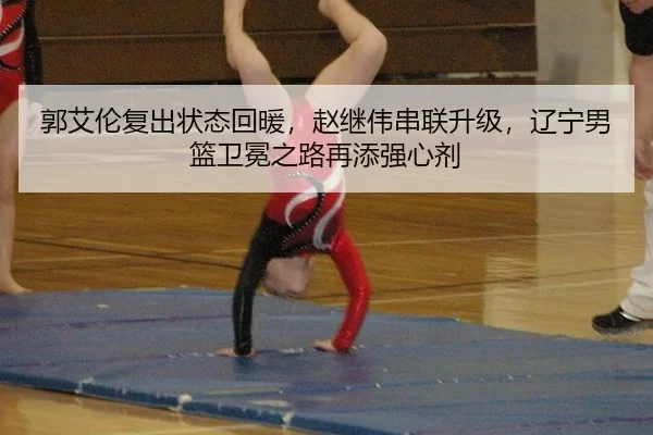 郭艾伦复出状态回暖，赵继伟串联升级，辽宁男篮卫冕之路再添强心剂