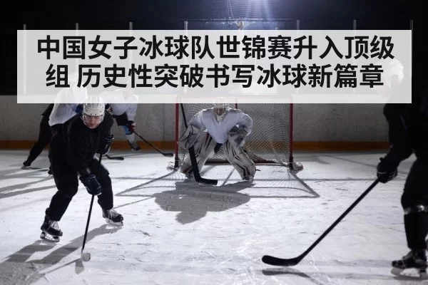 ice hockey action game